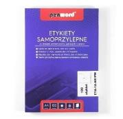 Opakowanie Etykiety samoprzylepne A4/100K 1x210x297mm