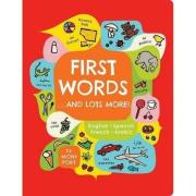 First Words . . . and Lots Mor. Wydawca: Chronicle Books. Dadada.pl Opakowanie First Words . . . and Lots Mor