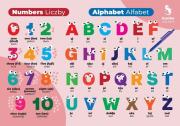 Opakowanie Fiszki do języka angielskiego Liczby, Alfabet 3szt