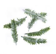 Opakowanie Gałązki jodły 9,5cm 6szt