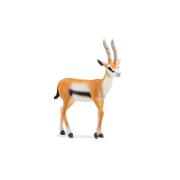 Opakowanie Gazela Thomsona SLH14861