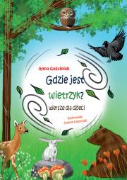 Gdzie jest wietrzyk?. Autor: Gościniak Anna. Dadada.pl Okładka książki Gdzie jest wietrzyk?
