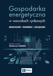 Okładka książki Gospodarka energetyczna w warunkach rynkowych