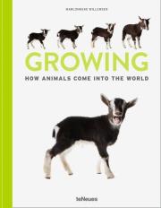 Growing. Autor: Willemsen Marlonneke. Dadada.pl Okładka książki Growing