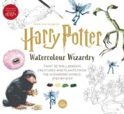 Opakowanie Harry Potter Watercolour Wizardry