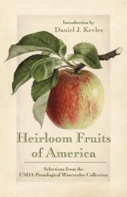 Heirloom Fruits of America. Autor: Kevles Daniel J.. Dadada.pl Okładka książki Heirloom Fruits of America