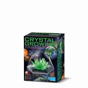 HODOWLA KRYSZTAŁÓW- ZIELONY. Autor: W 3931. Dadada.pl Okładka książki HODOWLA KRYSZTAŁÓW- ZIELONY