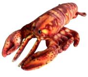 Opakowanie Homar 28cm