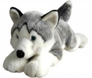 Opakowanie Husky 62cm