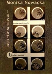 Okładka książki Inkubator
