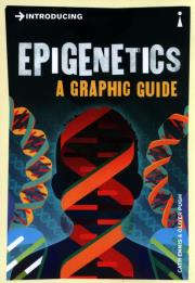 Introducing Epigenetics. Autor: Ennis Cath, Pugh Oliver. Dadada.pl Okładka książki Introducing Epigenetics