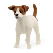Opakowanie Jack Russell terrier SLH13916