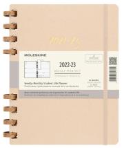 Opakowanie Kalendarz 2023 akademicki XL tw. remake oyster