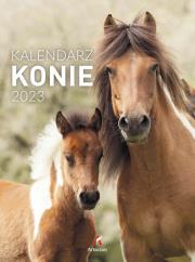 Opakowanie Kalendarz 2023 B4 Konie ARTSEZON