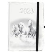 Kalendarz 2023 B6 dzienny Jazz konie ELEFANT. Wydawca: ELEFANT. Dadada.pl Opakowanie Kalendarz 2023 B6 dzienny Jazz konie ELEFANT
