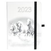 Opakowanie Kalendarz 2023 B6 tyg. Hip hop konie ELEFANT