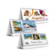 Opakowanie Kalendarz 2023 Biurkowy stojący MIX ARTSEZON