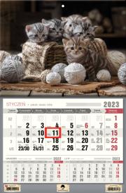 Opakowanie Kalendarz 2023 jednodzielny kotki KTJ-1 V12