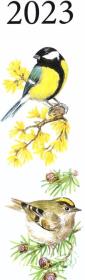 Opakowanie Kalendarz 2023 Nasze ptaki