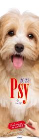 Opakowanie Kalendarz 2023 Paskowy Psy AVANTI