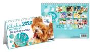 Opakowanie Kalendarz 2023 pocztówkowy Psy