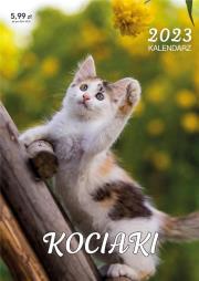 Kalendarz 2023 ścienny Kociaki. Wydawca: Kalpol. Dadada.pl Opakowanie Kalendarz 2023 ścienny Kociaki