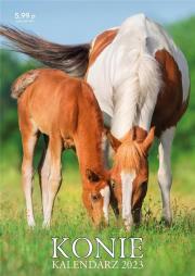 Kalendarz 2023 ścienny Konie. Wydawca: Kalpol. Dadada.pl Opakowanie Kalendarz 2023 ścienny Konie