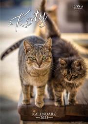 Kalendarz 2023 ścienny Koty. Wydawca: Kalpol. Dadada.pl Opakowanie Kalendarz 2023 ścienny Koty