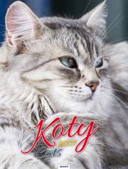 Opakowanie Kalendarz 2023 Ścienny Koty AVANTI