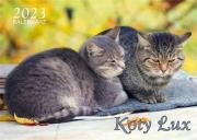 Kalendarz 2023 ścienny Lux Koty. Wydawca: Kalpol. Dadada.pl Opakowanie Kalendarz 2023 ścienny Lux Koty