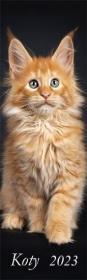 Opakowanie Kalendarz 2023 Ścienny pasek Koty