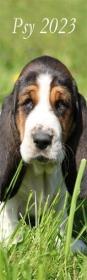 Opakowanie Kalendarz 2023 Ścienny pasek Psy