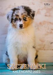 Kalendarz 2023 ścienny Szczeniaki. Wydawca: Kalpol. Dadada.pl Opakowanie Kalendarz 2023 ścienny Szczeniaki