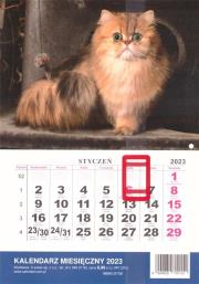 Opakowanie Kalendarz 2023 Ścienny