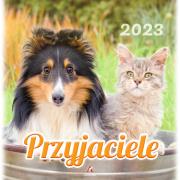 Opakowanie Kalendarz 2023 Wieloplanszowy Przyjaciele ARTSEZON
