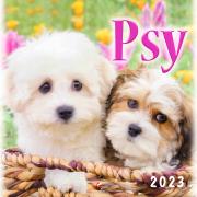 Opakowanie Kalendarz 2023 Wieloplanszowy Psy ARTSEZON