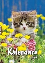 Opakowanie Kalendarz 2024 A6 Zdzierak MIX