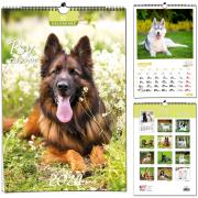 Kalendarz 2024 B3 7 plansz Psy. Wydawca: EV-Corp. Dadada.pl Opakowanie Kalendarz 2024 B3 7 plansz Psy