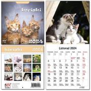 Kalendarz 2024 dla dzieci 16x32 13 plansz Kociaki. Wydawca: EV-Corp. Dadada.pl Opakowanie Kalendarz 2024 dla dzieci 16x32 13 plansz Kociaki