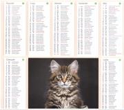 Opakowanie Kalendarz 2024 Plakietka