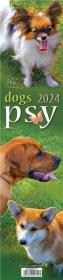 Opakowanie Kalendarz 2024 Psy