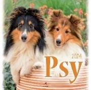 Opakowanie Kalendarz 2024 Psy