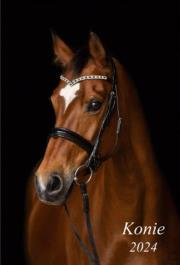 Okładka książki Kalendarz 2024 Ścienny dwustronny Konie