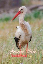 Opakowanie Kalendarz 2024 Ścienny Malownicza Polska