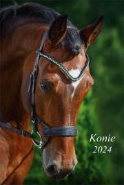 Okładka książki Kalendarz 2024 Ścienny wieloplanszowy Konie