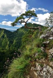 Okładka książki Kalendarz 2024 Ścienny wieloplanszowy Polskie góry