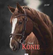 Okładka książki Kalendarz 2024 Ścieny Konie