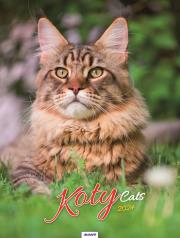 Opakowanie Kalendarz 2024 Ścieny Koty