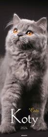 Opakowanie Kalendarz 2024 Ścieny Koty