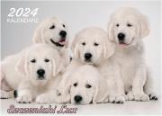 Opakowanie Kalendarz 2024 Szczeniaki lux ścienny